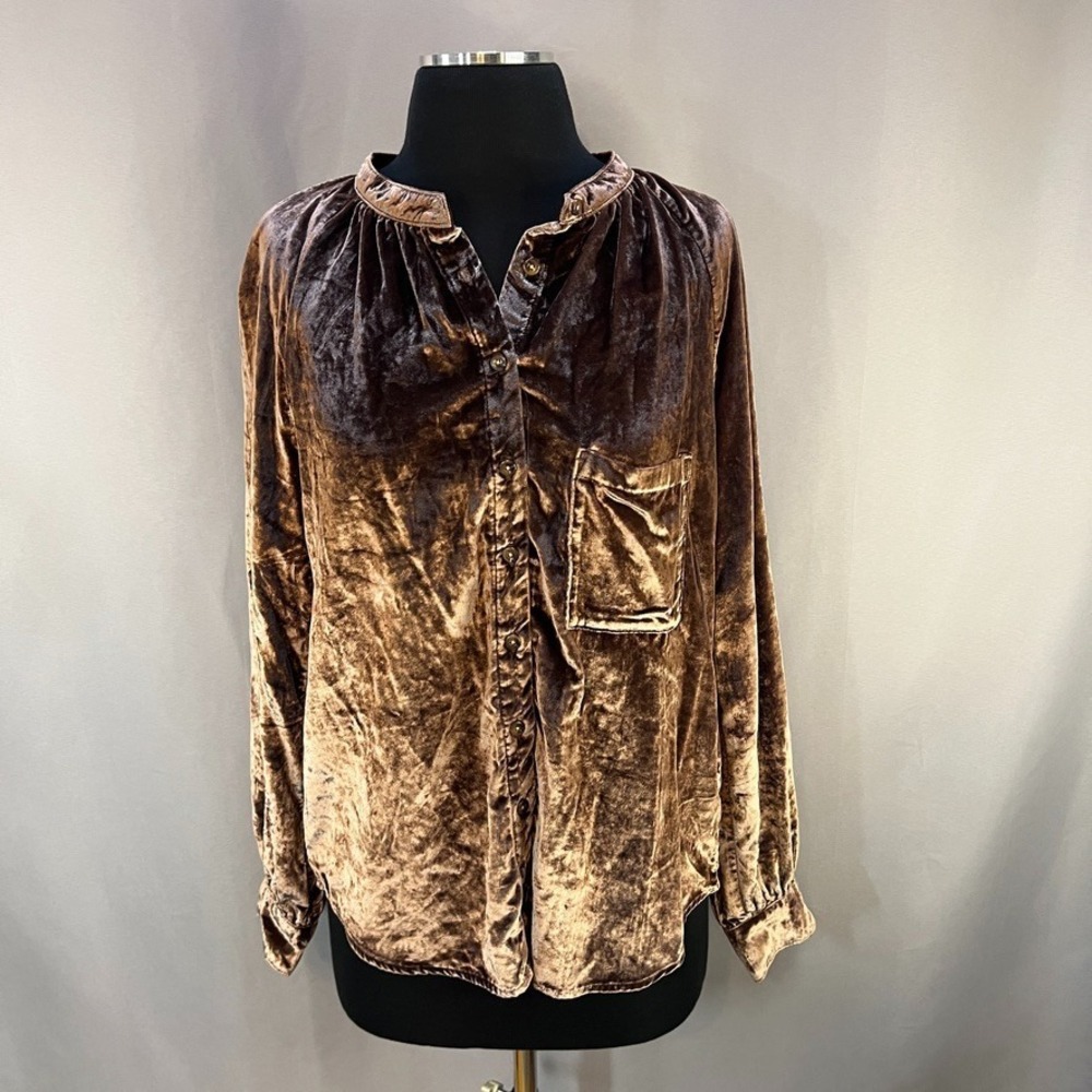 Pilcro Anthropologie Womens M Velvet Button Down Blouse Relaxed Boho Sheer Top
